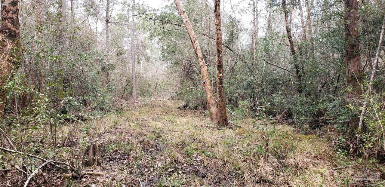 Lot 39 Arbor Ridge Rd - Photo 1
