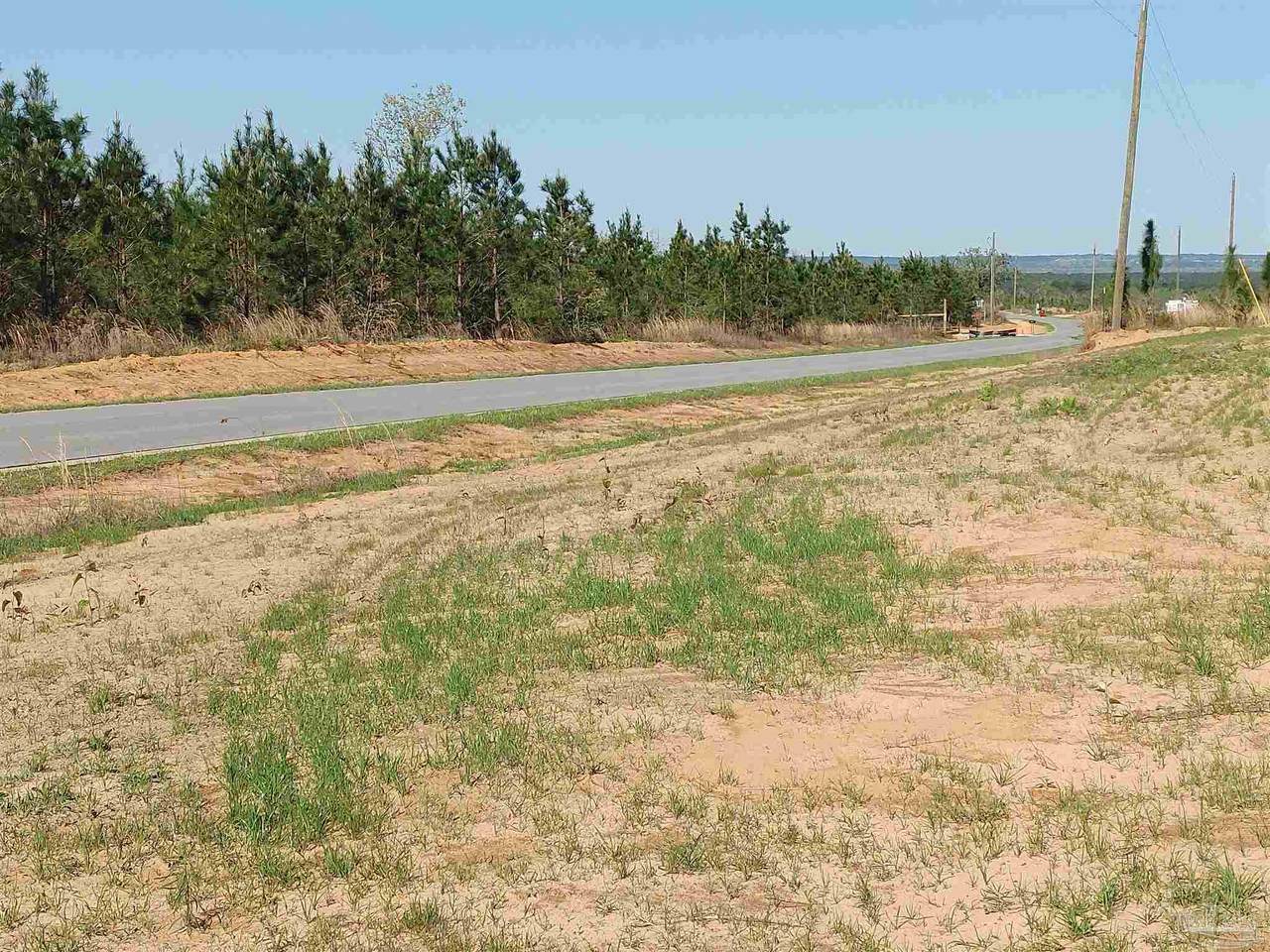 Lot 20 Molino Bridge Rd - Photo 1