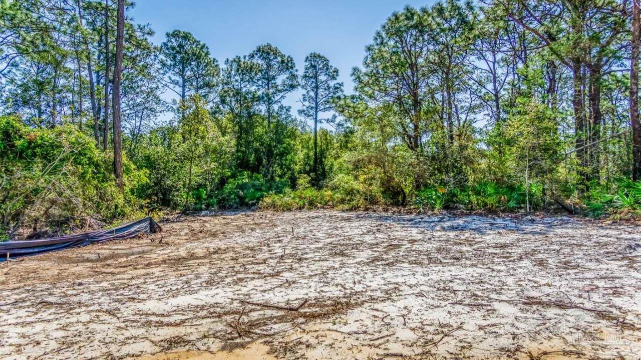 4375 Carol Ct - Photo 1