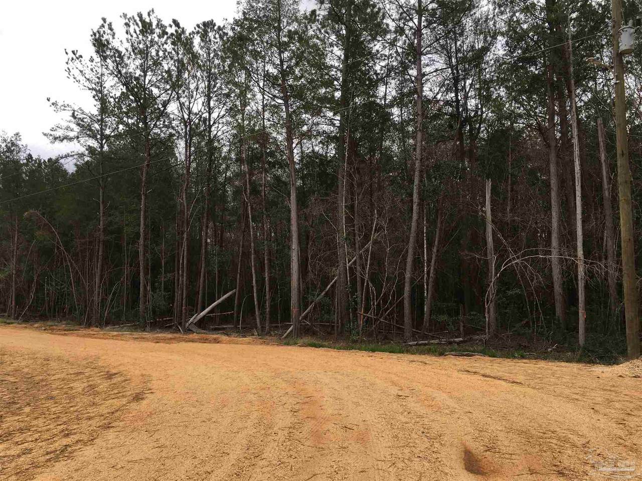 Lot 2 Wolf Log Rd - Photo 1
