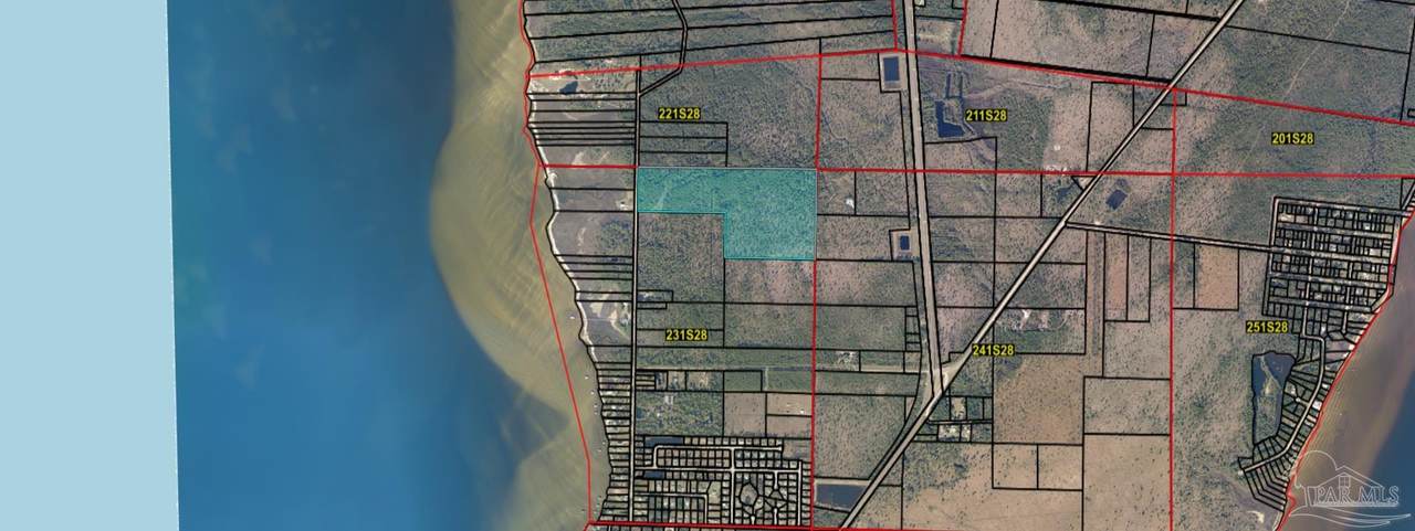 Pearson Rd - Photo 1