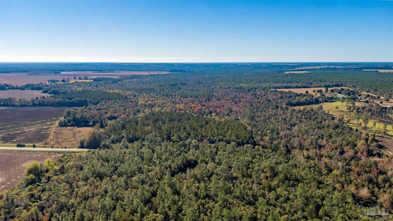 5960 Hwy 178 - Photo 1