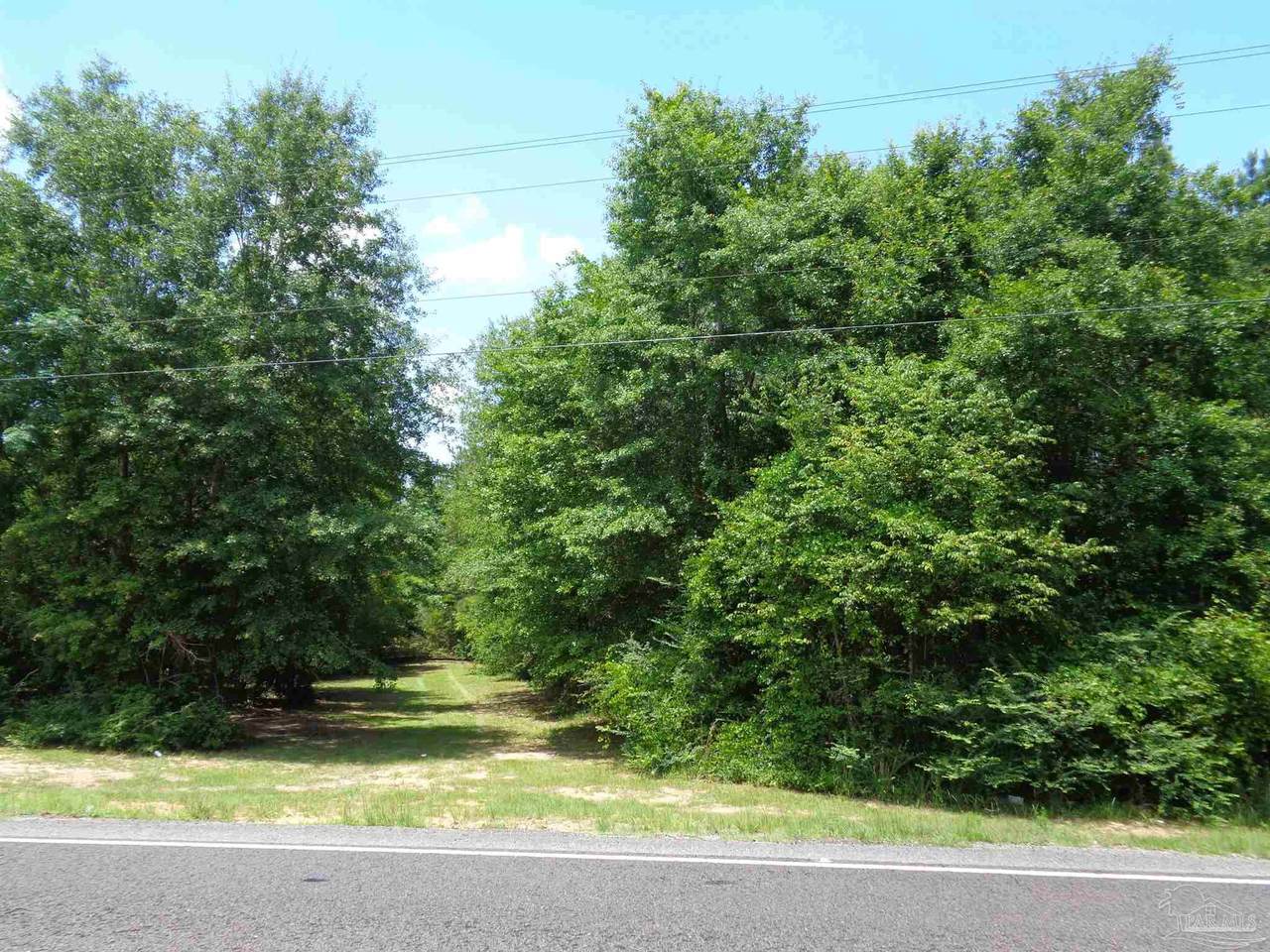 Hwy 21 - Photo 1