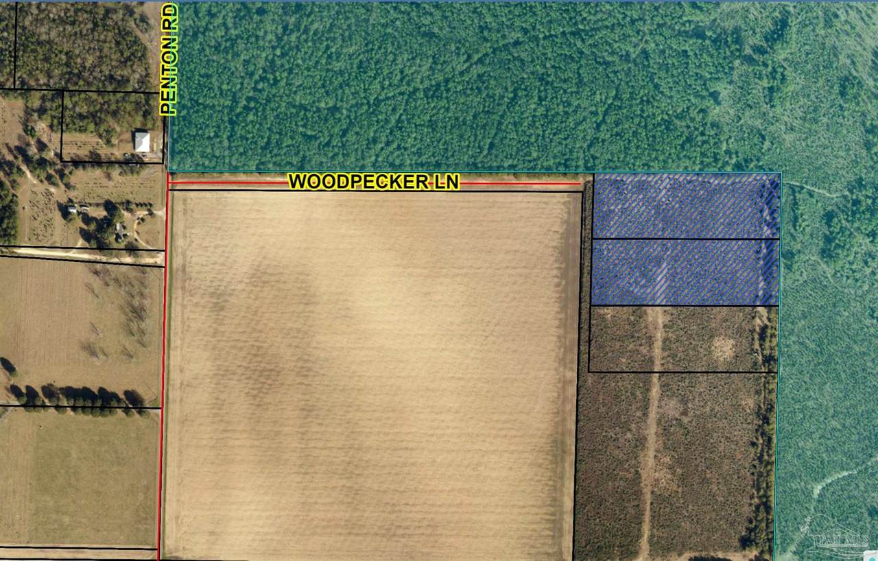 5496 Woodpecker Ln - Photo 1