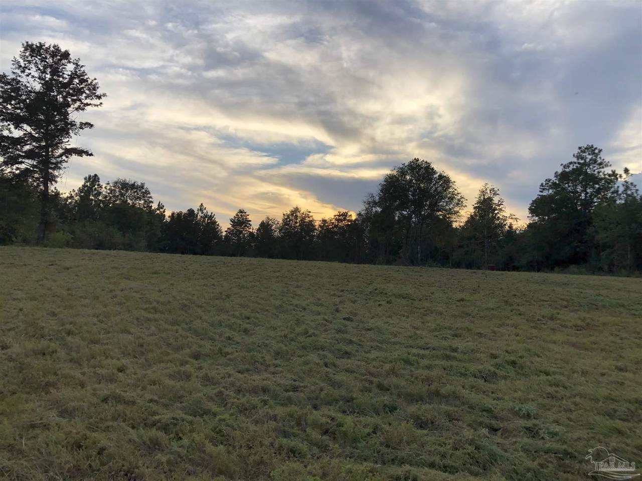 7960 Buffalo Ridge Rd - Photo 1