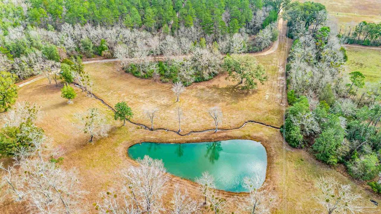 4664 Kolb Rd - Photo 1