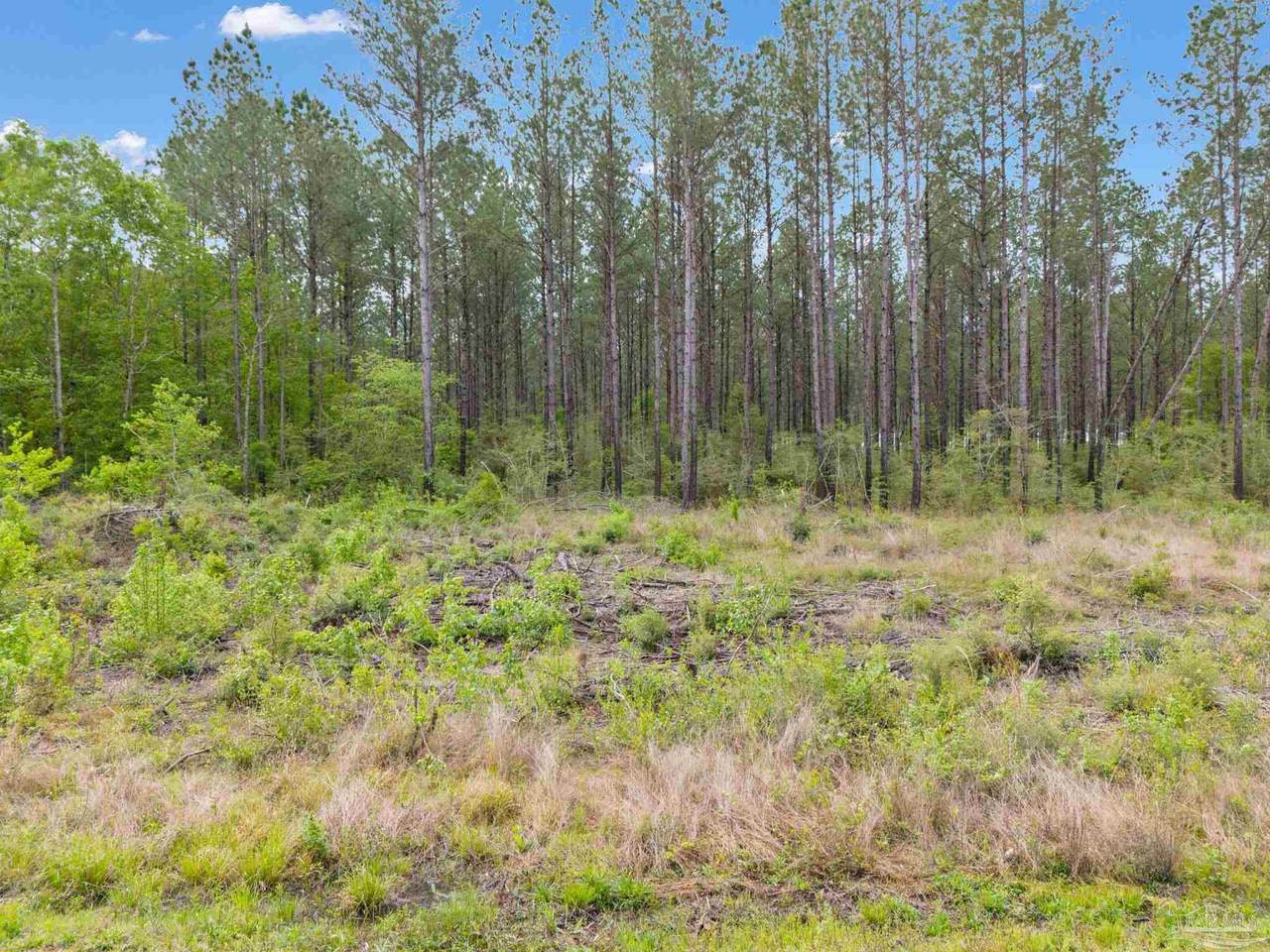 Lot 7 Mineral Springs Rd - Photo 1