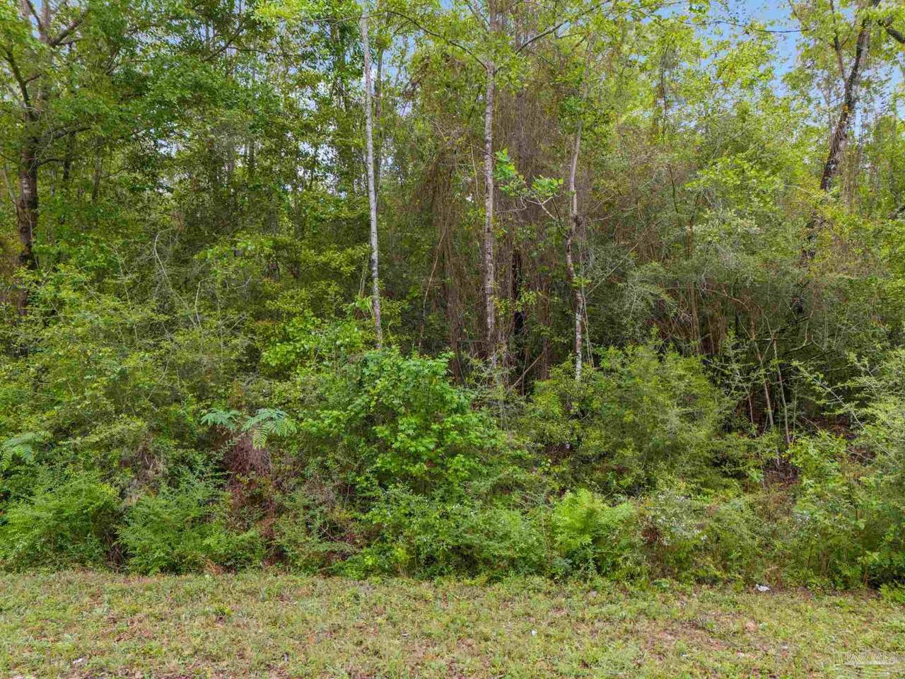 0001 Mineral Springs Rd - Photo 1