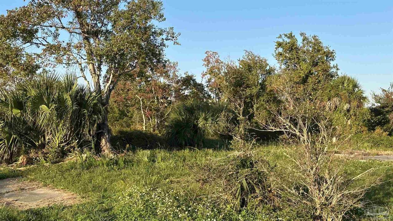 5530 Casa Maria Ln - Photo 1