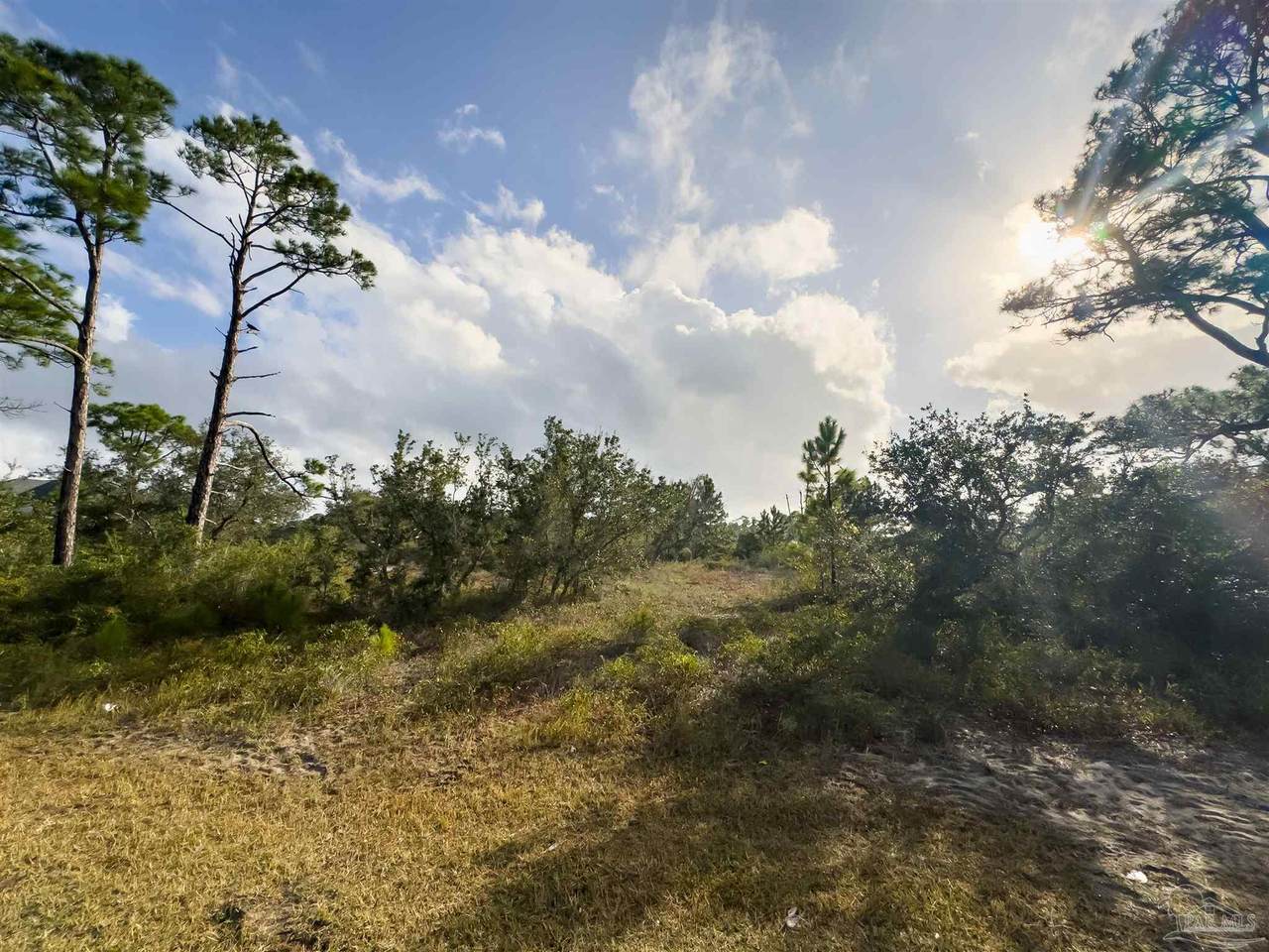 13431 Gongora Dr - Photo 1