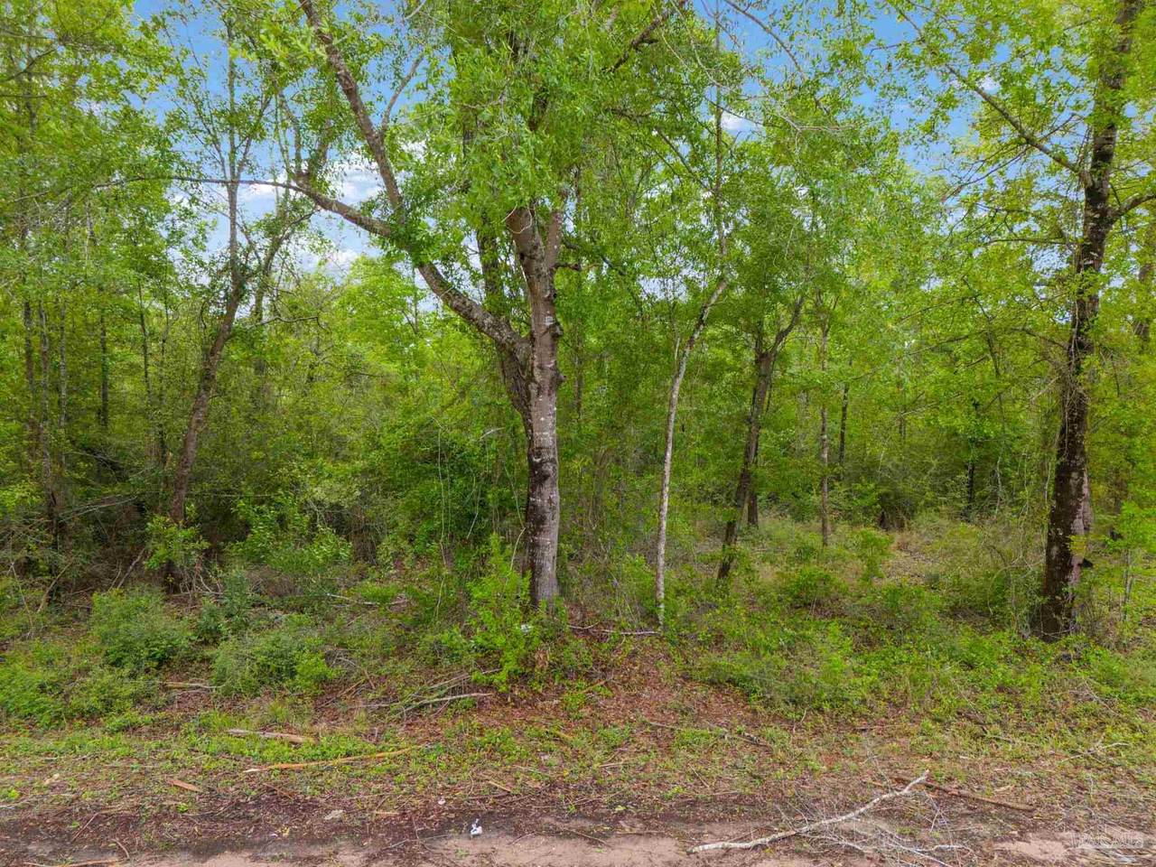 LOT 23 Mineral Springs Rd - Photo 1