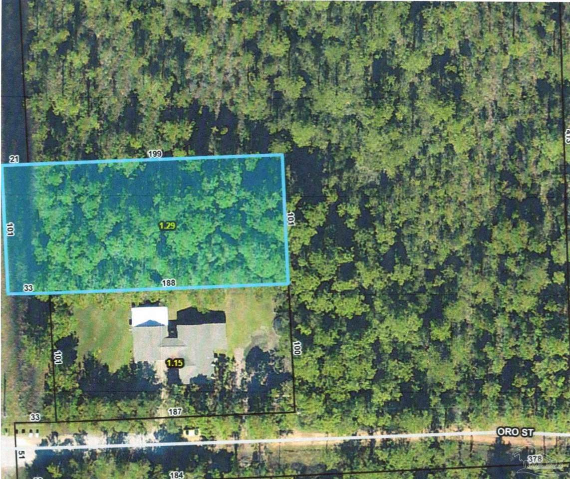 xx129 Avalon Blvd - Photo 1