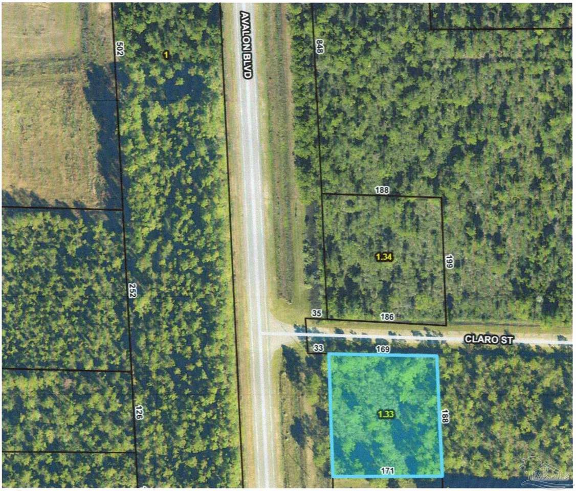xx133 Avalon Blvd - Photo 1