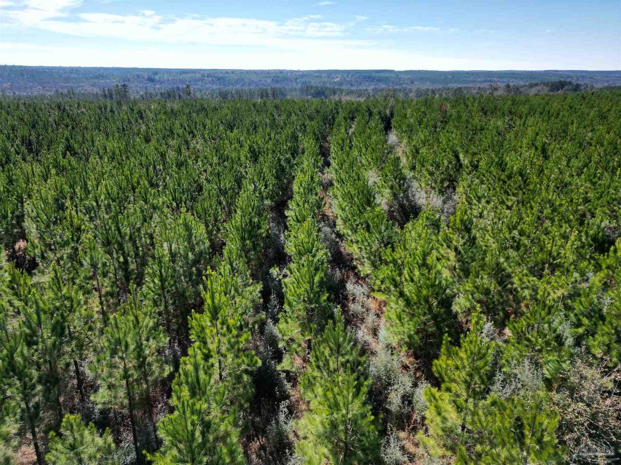 01 Robinsonville Rd - Photo 1