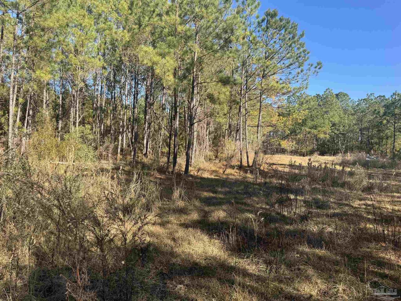 002 Oil Well Rd - Photo 1