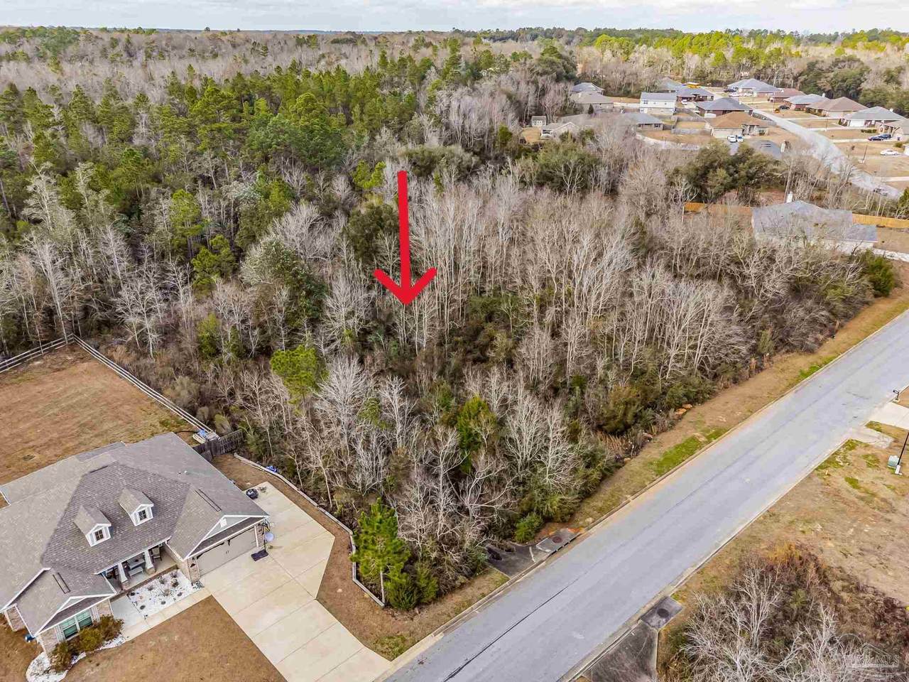 1611 Hollow Point Dr - Photo 1
