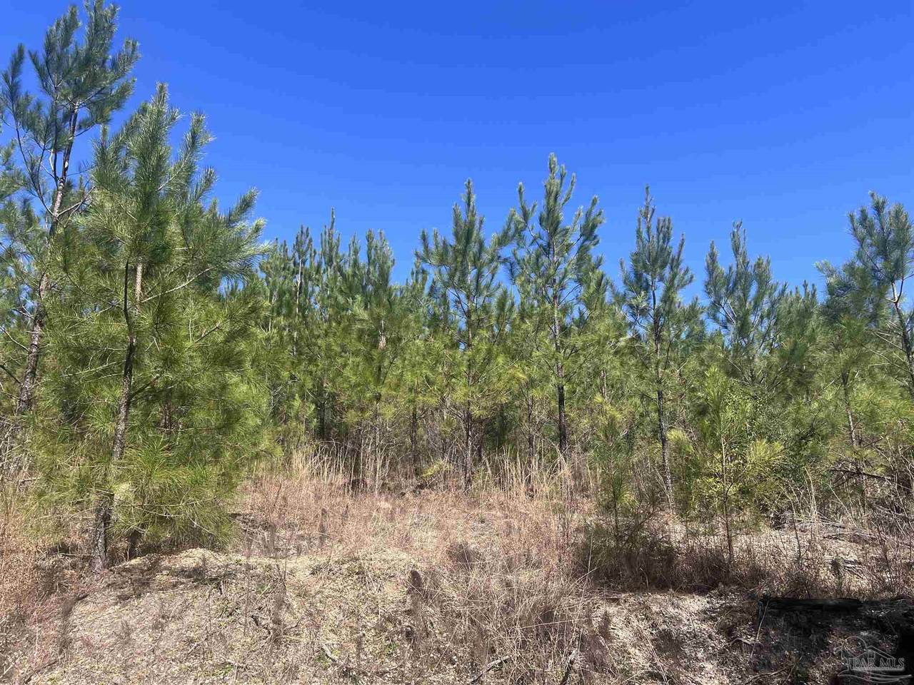 09 Robinsonville Rd - Photo 1