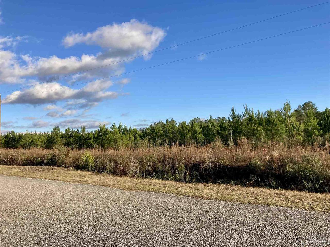 Lot 15 Mineral Springs Rd - Photo 1
