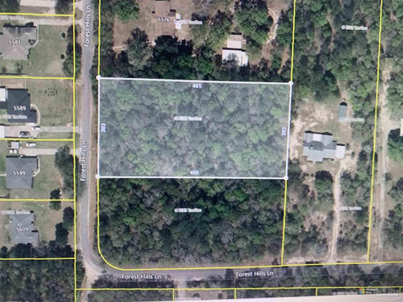 Forest Hill Ln - Photo 1