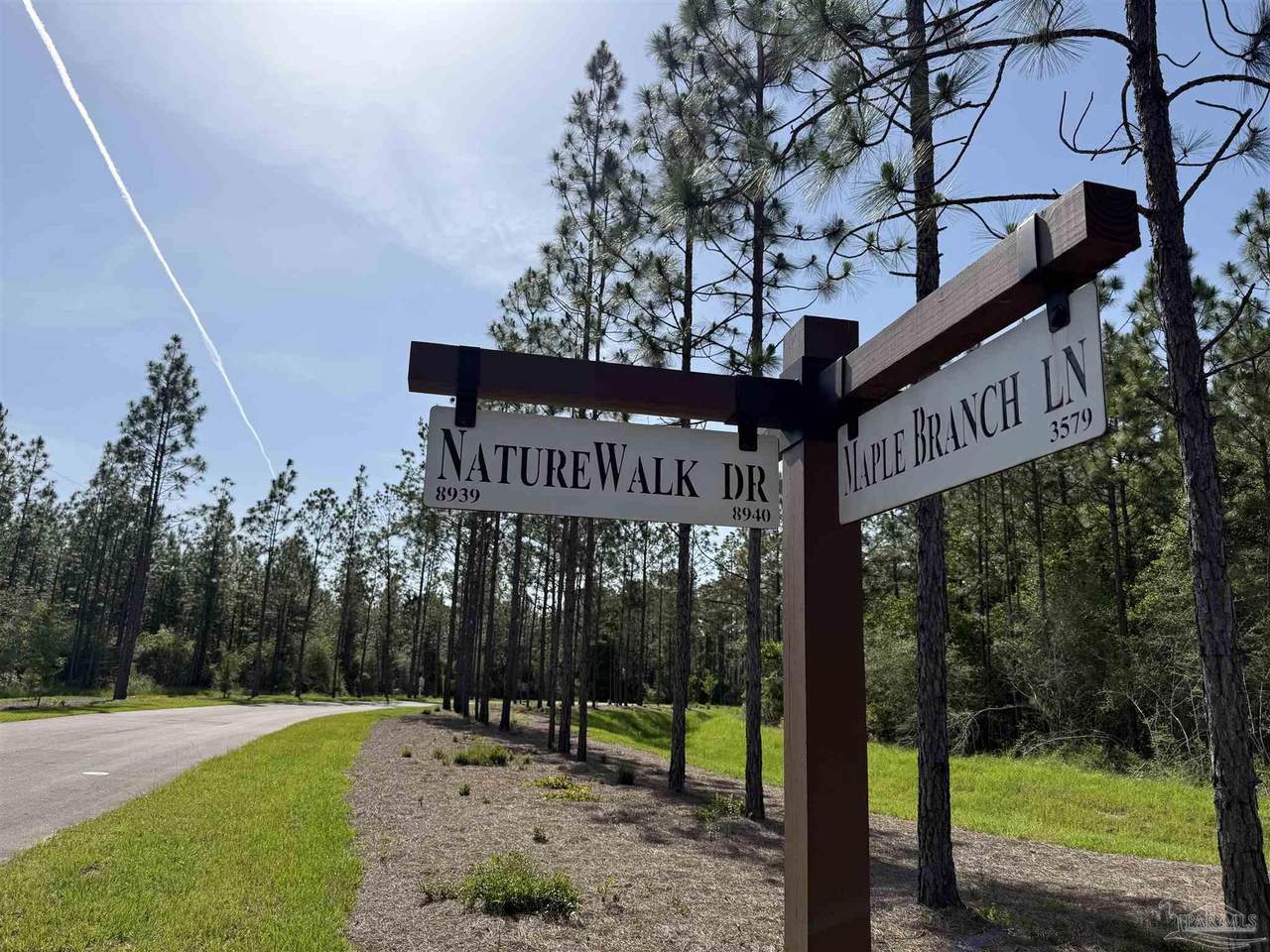 LOT 83 Naturewalk Dr - Photo 1