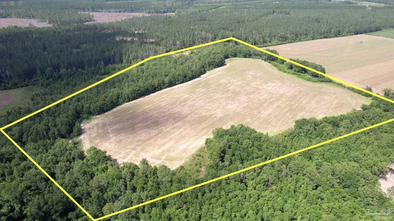 Parcel 17 Mineral Springs Rd - Photo 1