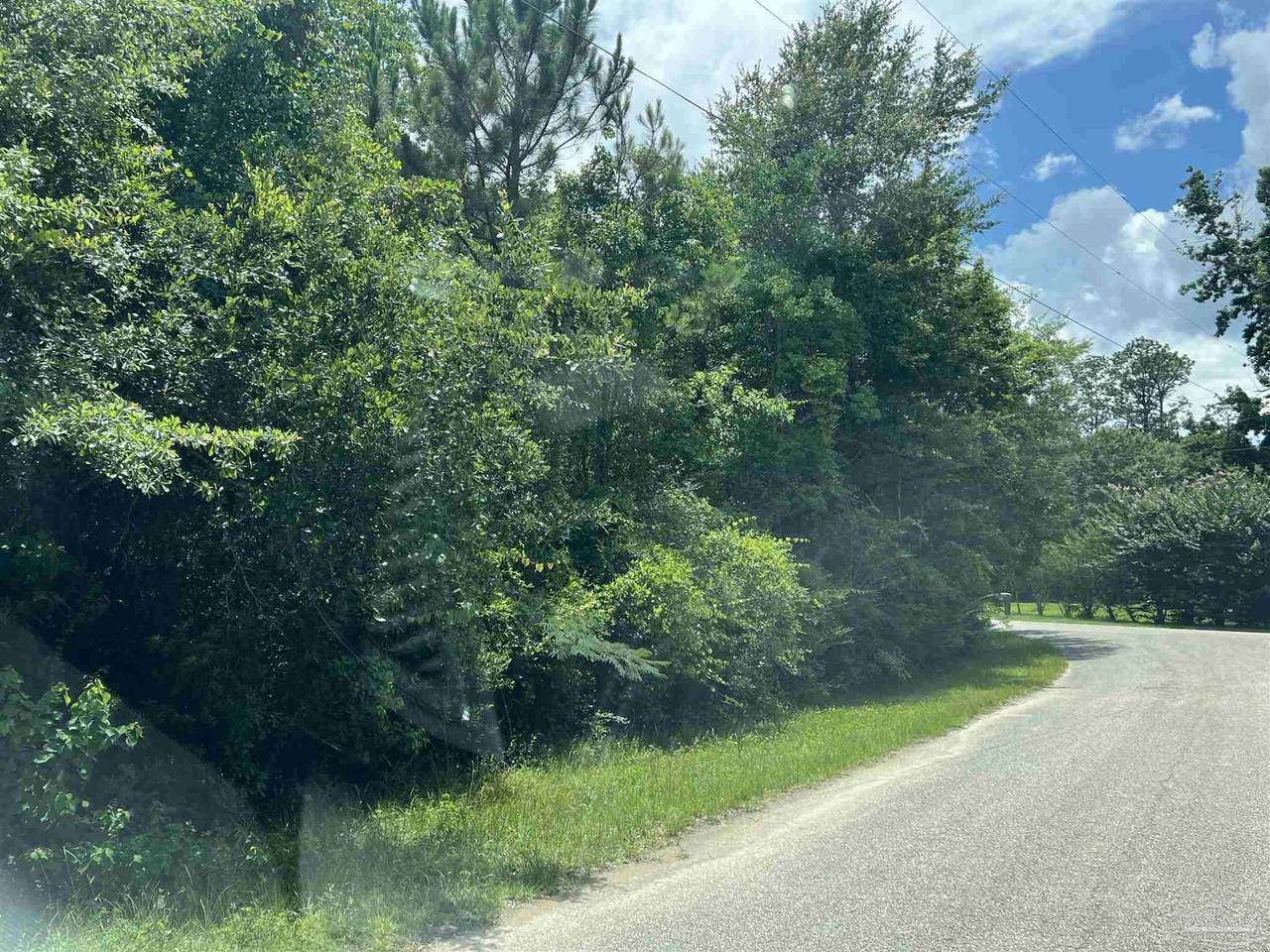 Lot 1 Pine Meadows Loop Rd - Photo 1
