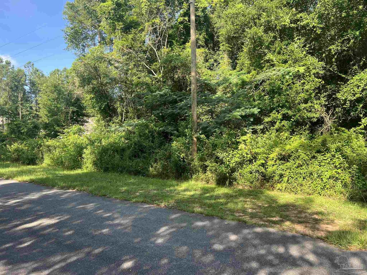 2051 Rube Smith Rd - Photo 1
