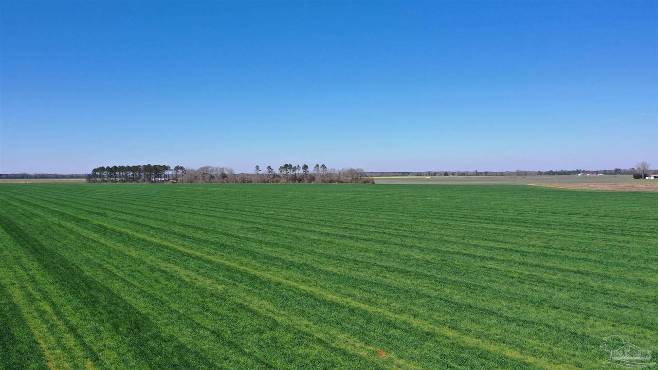 Lot 14 Davis Pond Rd - Photo 1