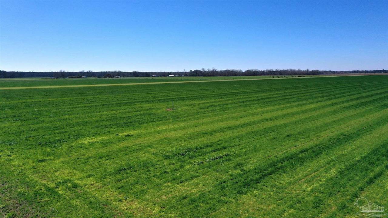 Lot 15 Davis Pond Rd - Photo 1