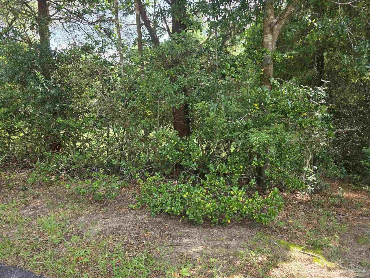 0 Crystal Creek Dr - Photo 1