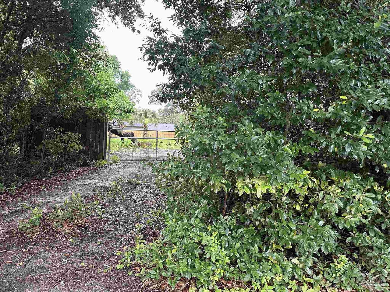 00 Mier Henry Rd - Photo 1