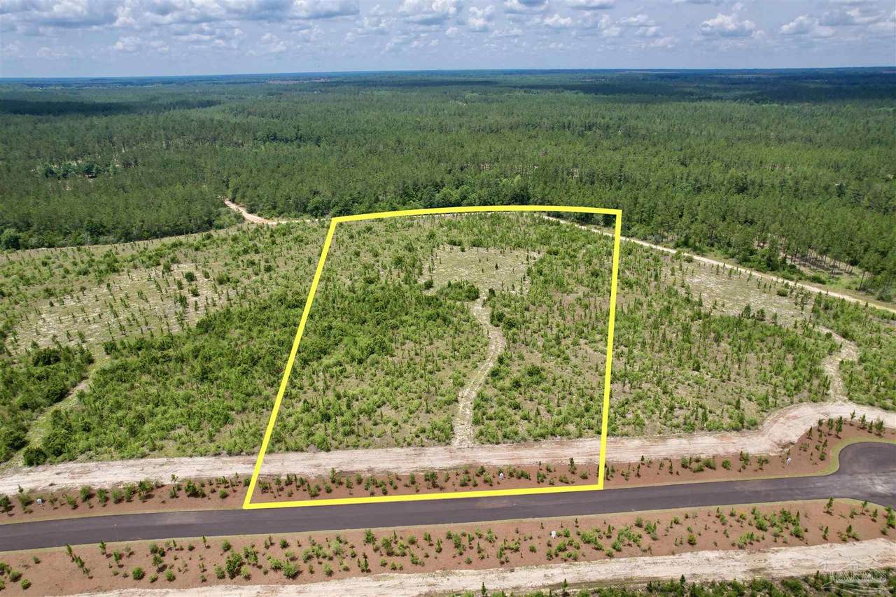 Lot 51 South Timber Ln - Photo 1