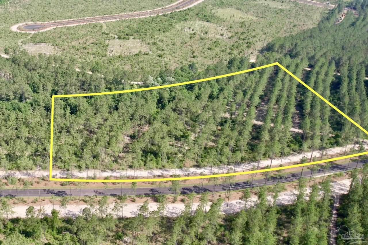 Lot 99 Turning Leaf Rd - Photo 1
