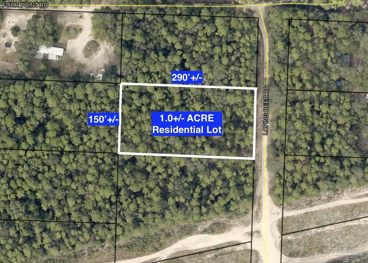 Loping Deer Rd - Photo 1