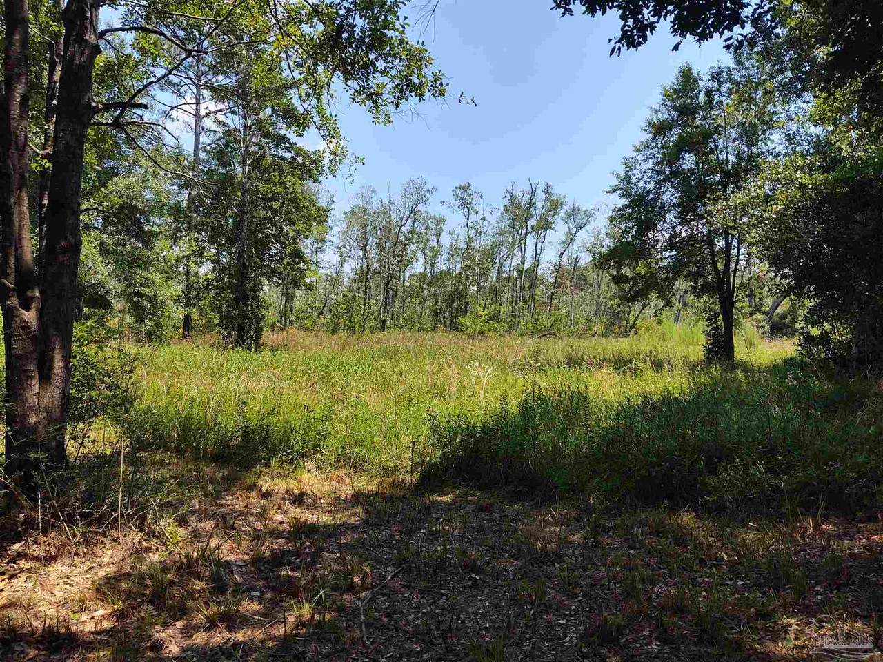 6595 Old Hwy 90 - Photo 1