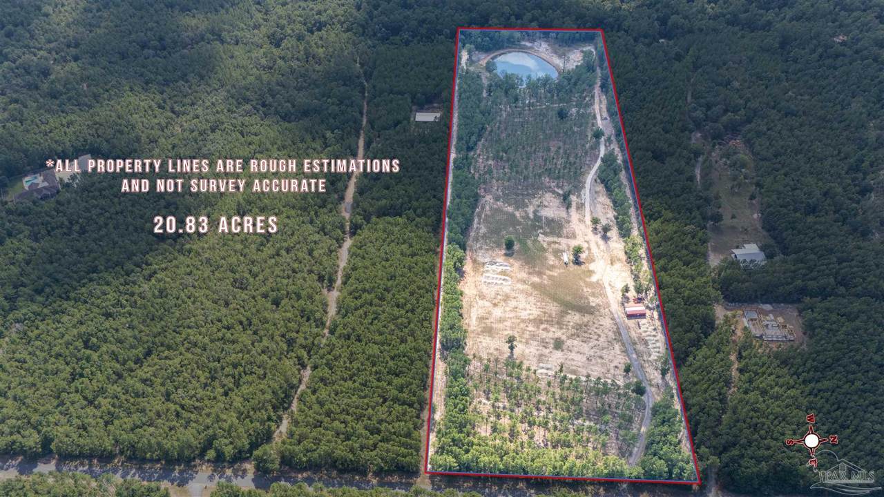 4047 Hidden Forest Trail - Photo 1