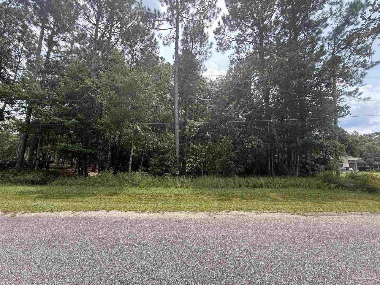 8100 Pond Valley Dr - Photo 1