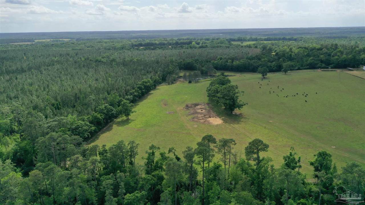 Lot 4 Hall Rd - Photo 1
