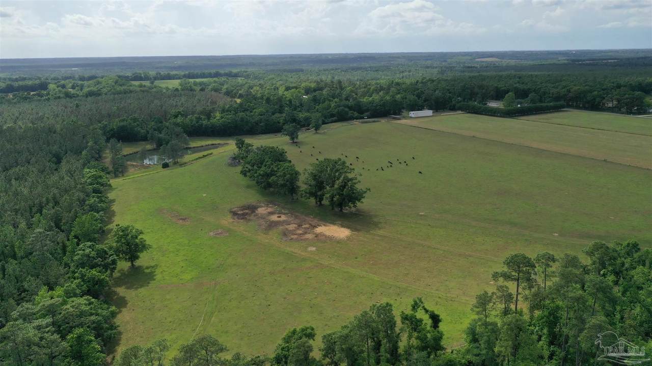 Lot 5 Hall Rd - Photo 1