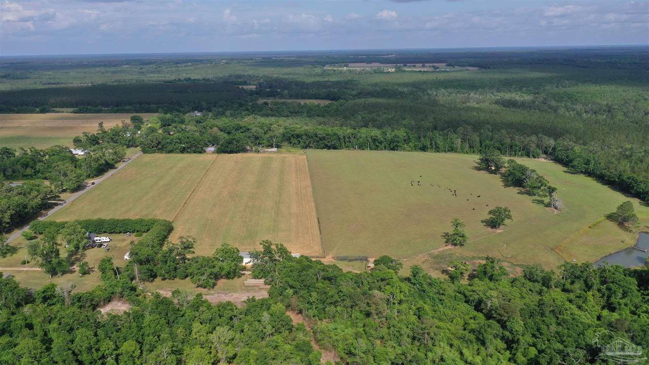 Lot 6 Hall Rd - Photo 1