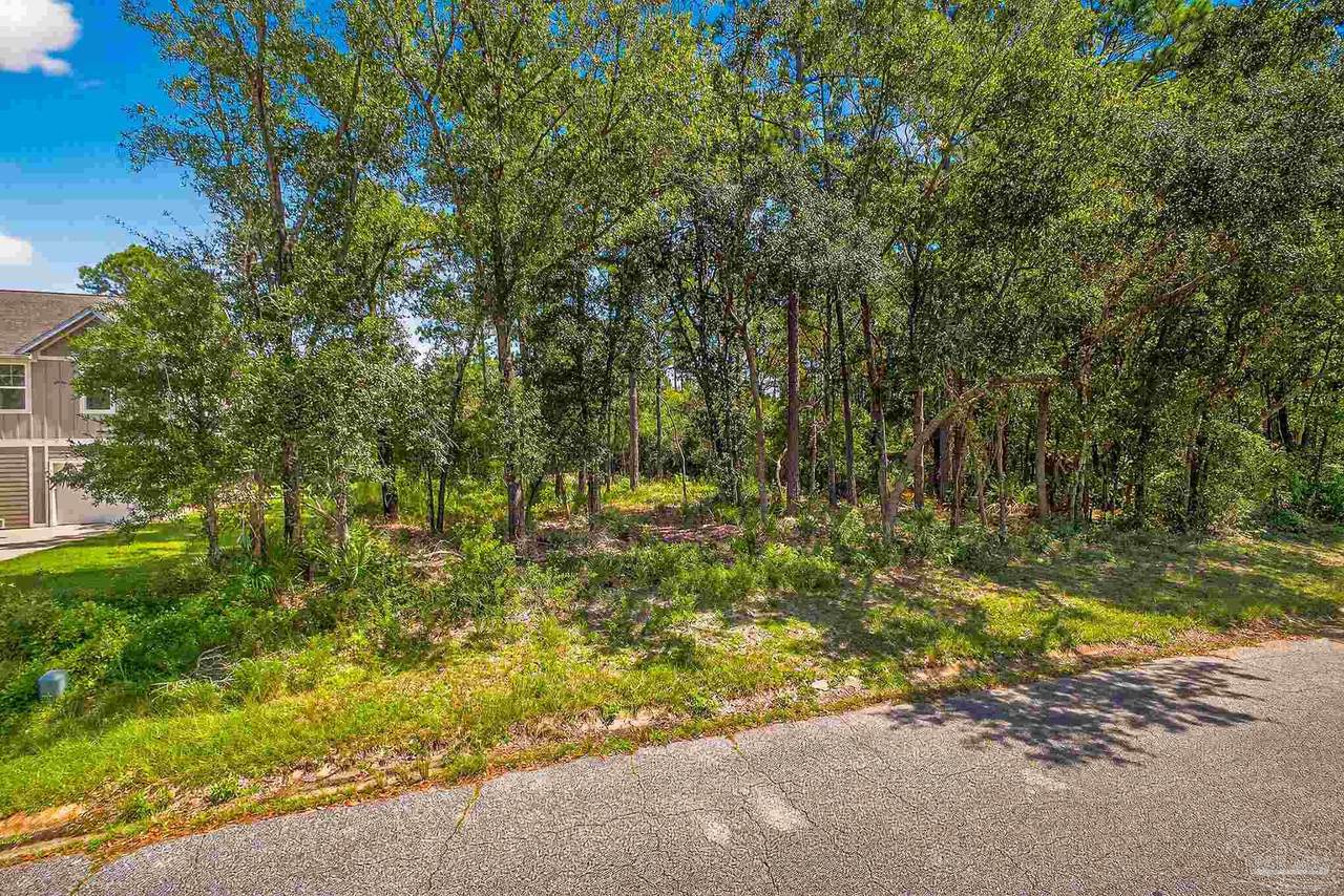 5652 Bay Forest Dr - Photo 1