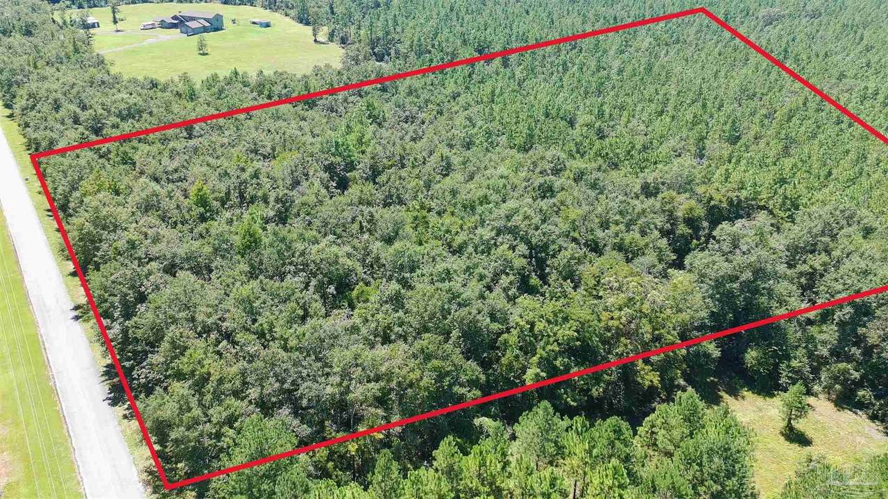 0000 Velor Rd - Photo 1