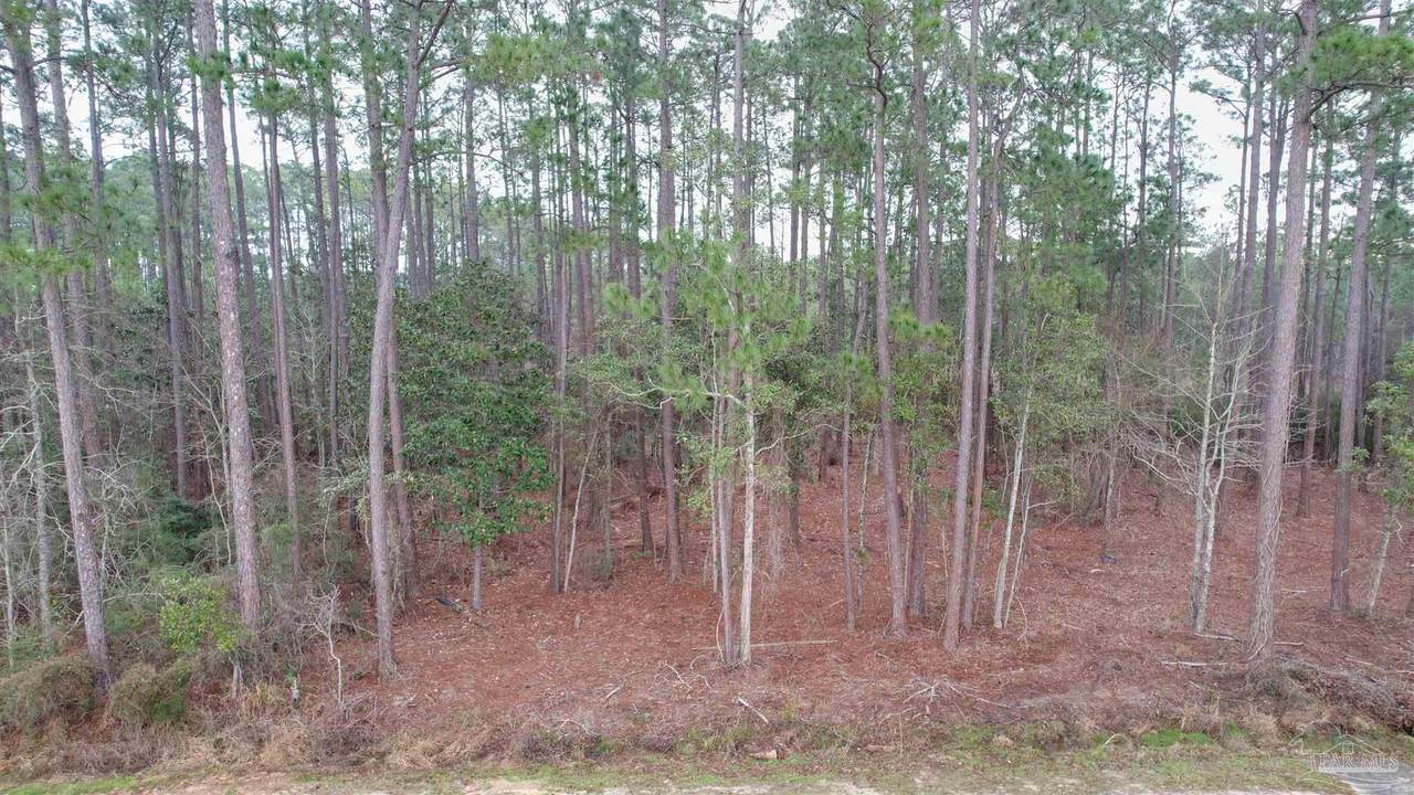 https://bt-photos.global.ssl.fastly.net/pensacola/1280_boomver_1_670389-2.jpg