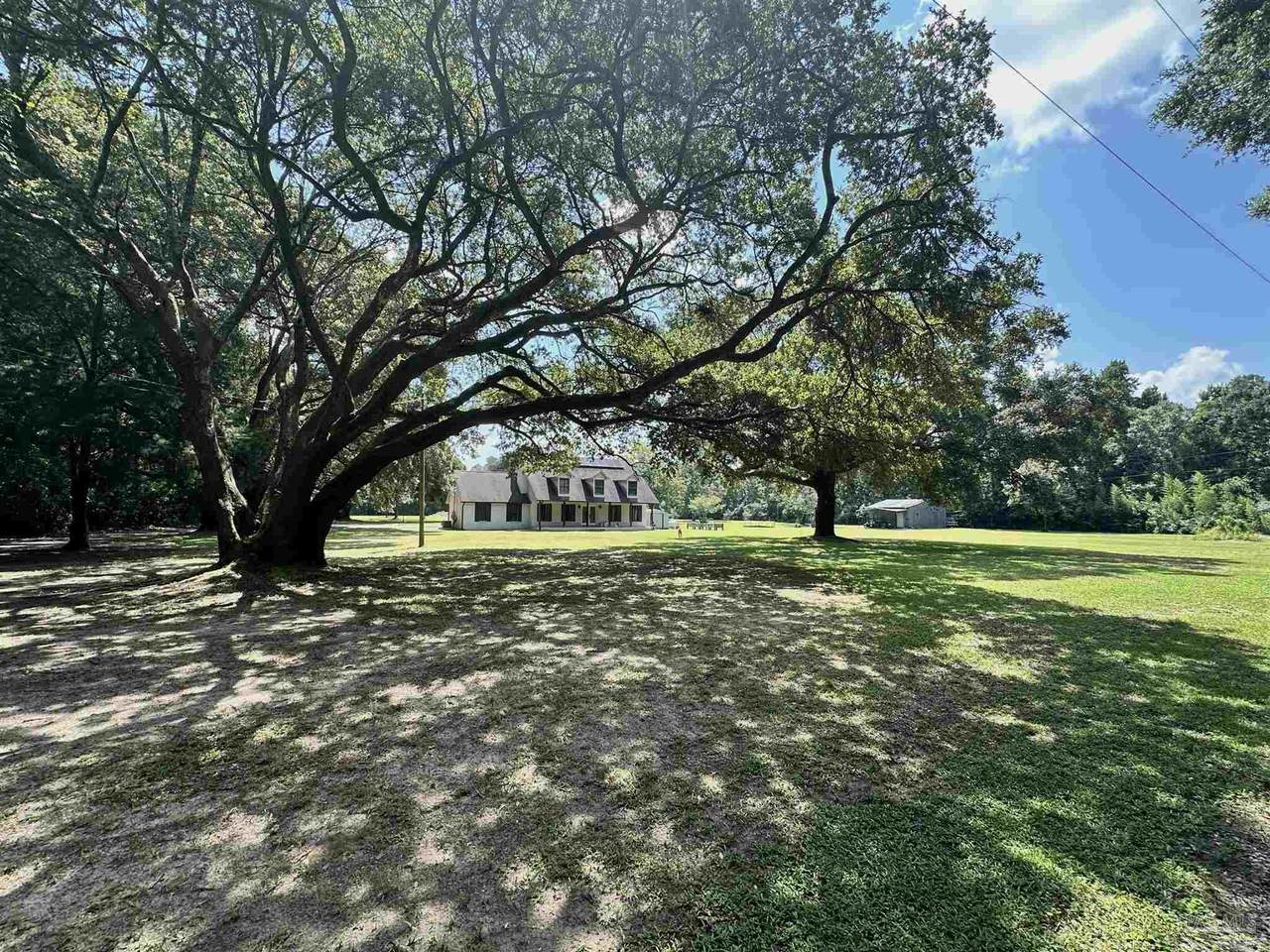 4675 Williams Rd - Photo 1