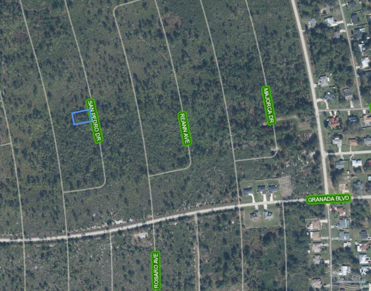 4415 San Pedro Dr - Photo 1