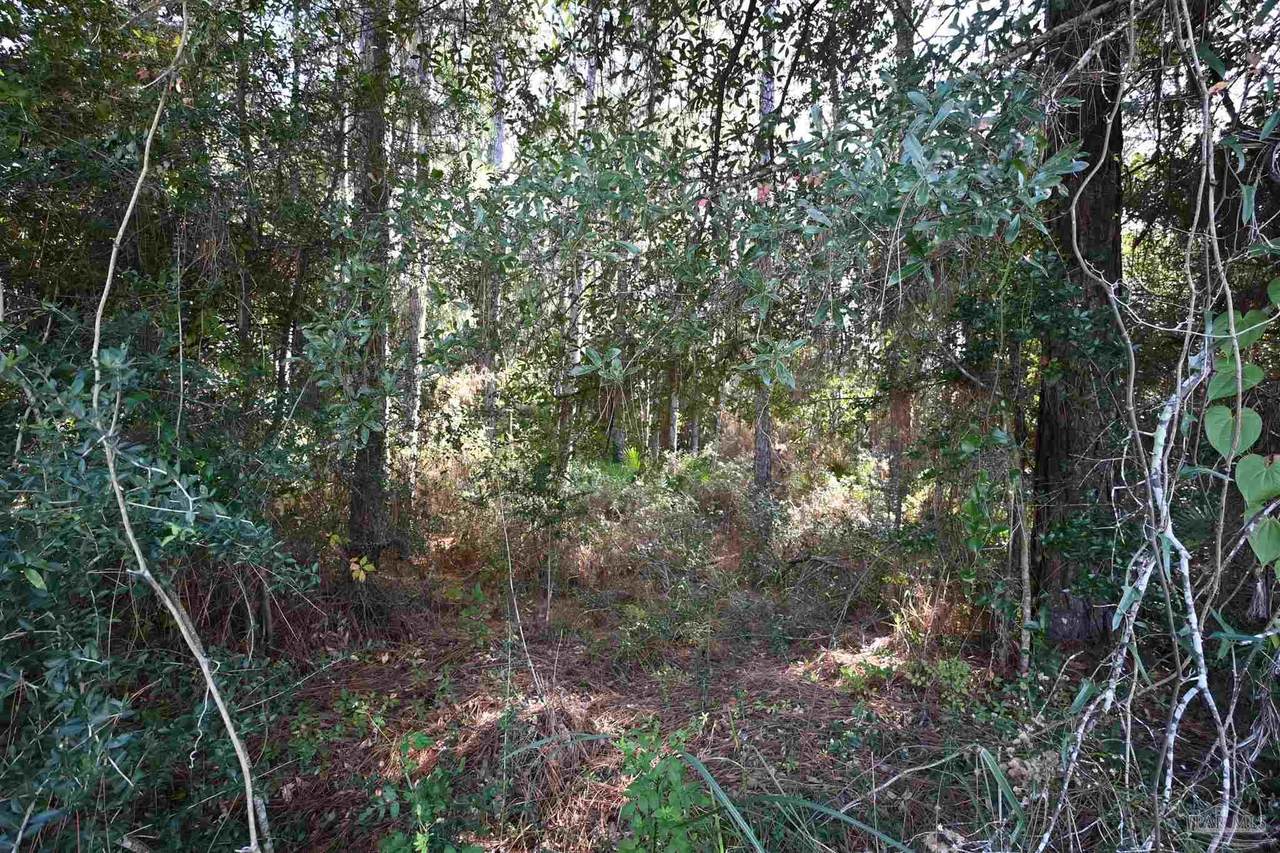 6417 Dickerson City Rd - Photo 1