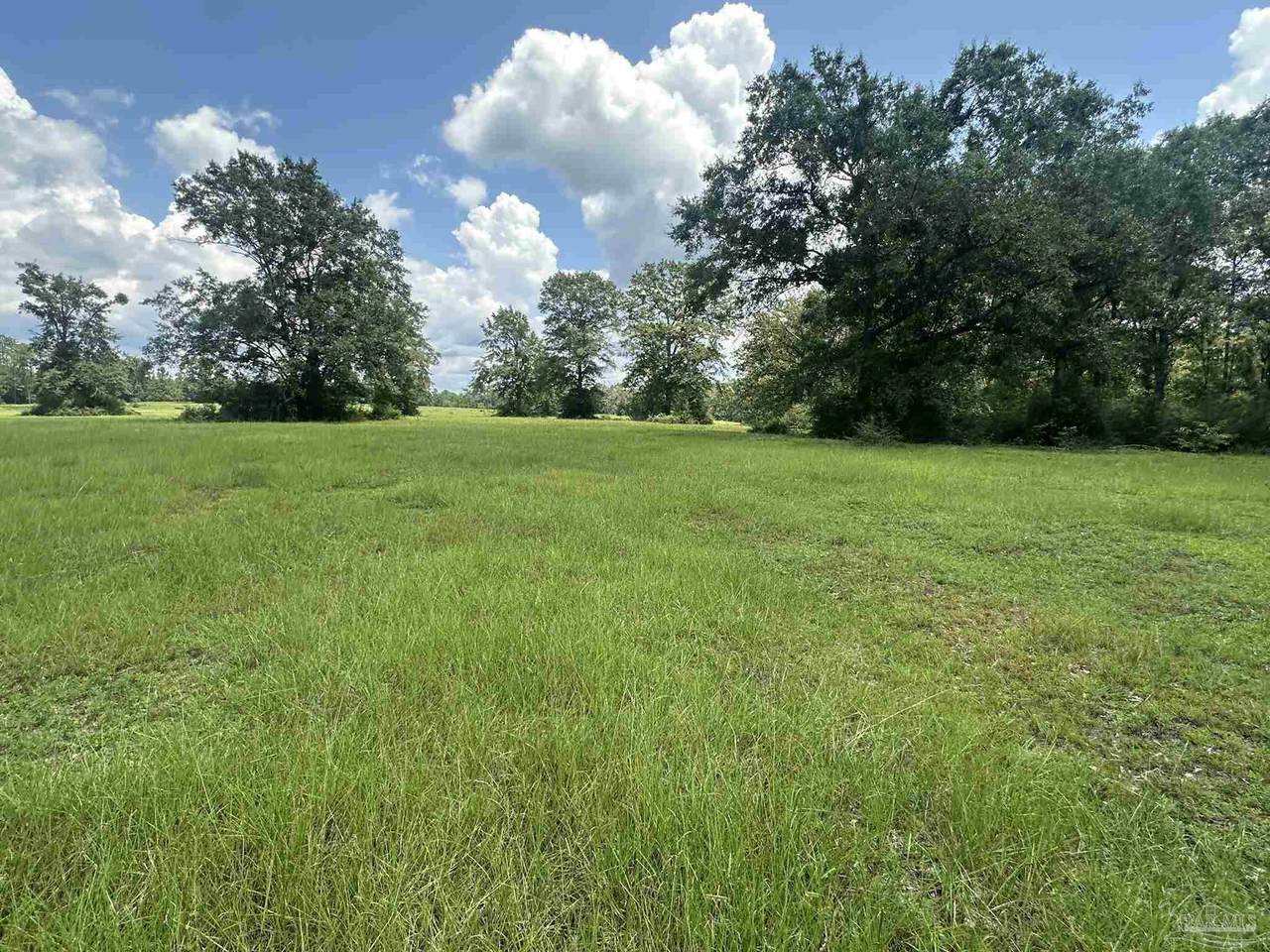 Lot 4 Bullard Rd - Photo 1