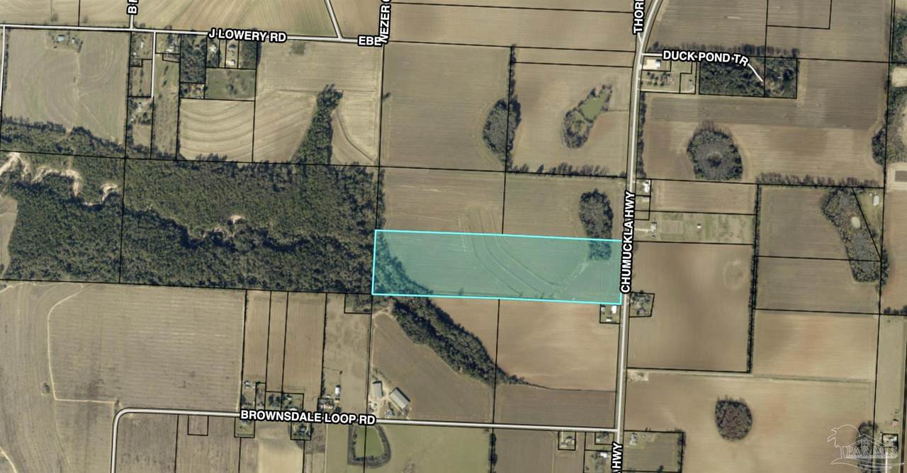 40 Acres Chumuckla Hwy - Photo 1