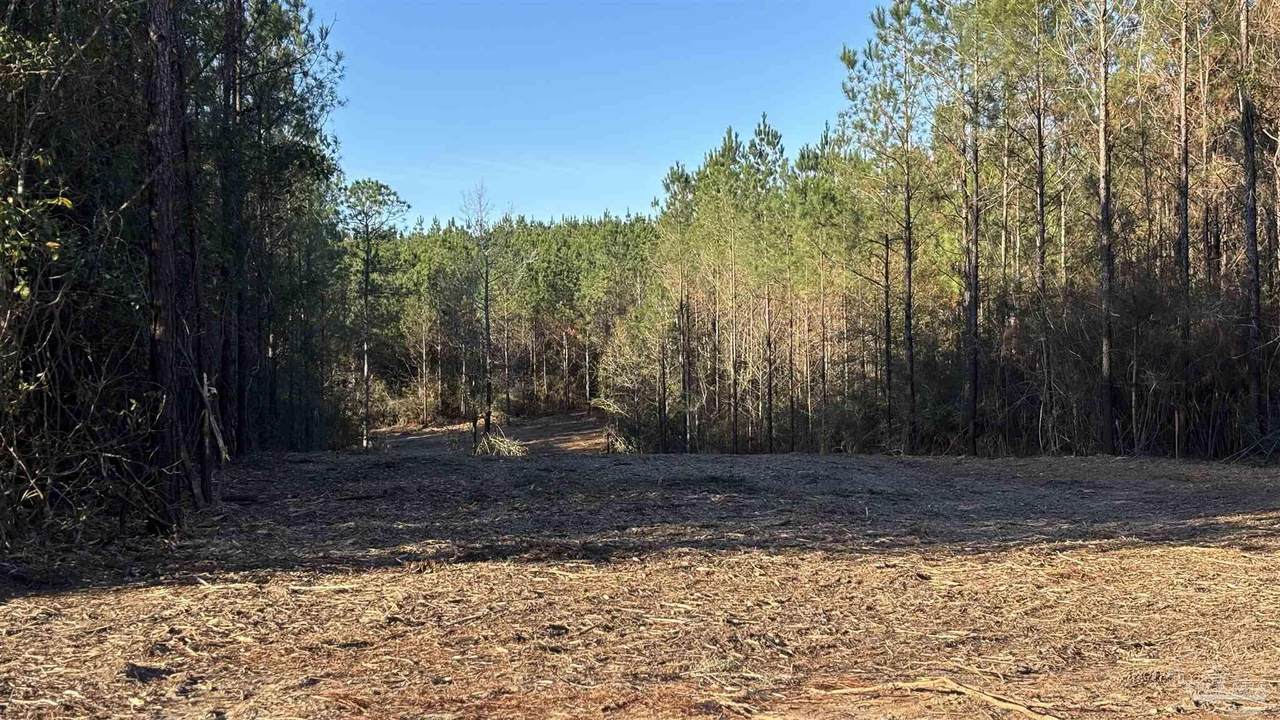 lot 58 Straw Bridge Rd - Photo 1