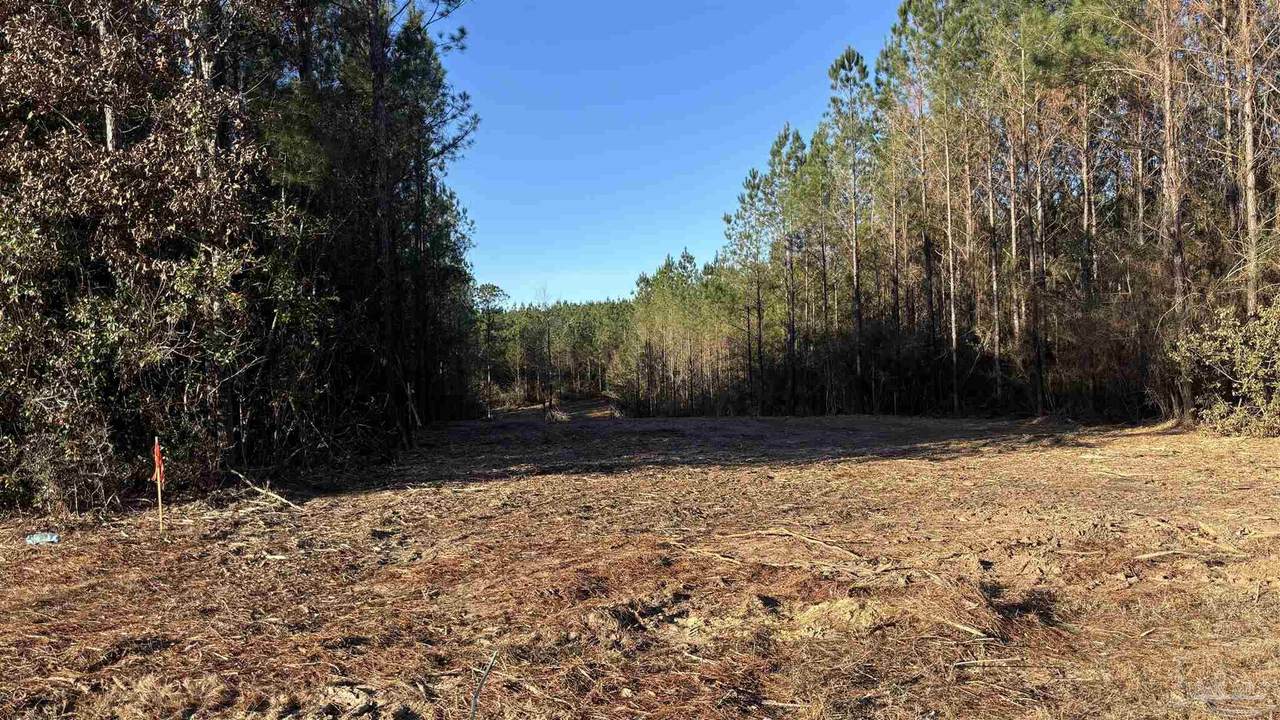 lot 59 Straw Bridge Rd - Photo 1